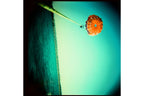 Lomography Diana F+ Camera & Flash - CMYK Edition