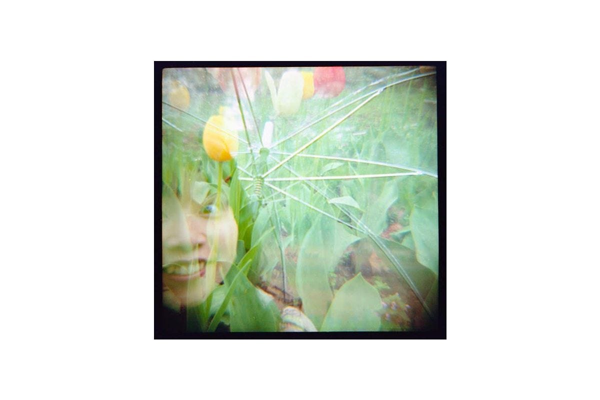 Lomography 120 ISO 800 - Color Negative