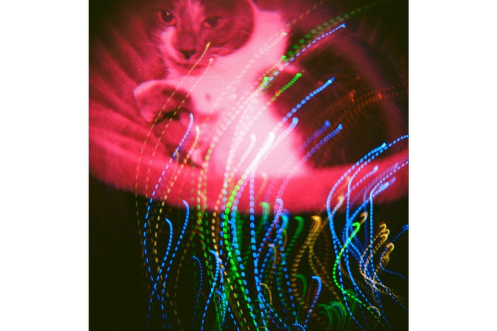 Lomography Diana F+ Camera & Flash - CMYK Edition
