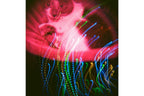 Lomography Diana F+ Camera & Flash - CMYK Edition