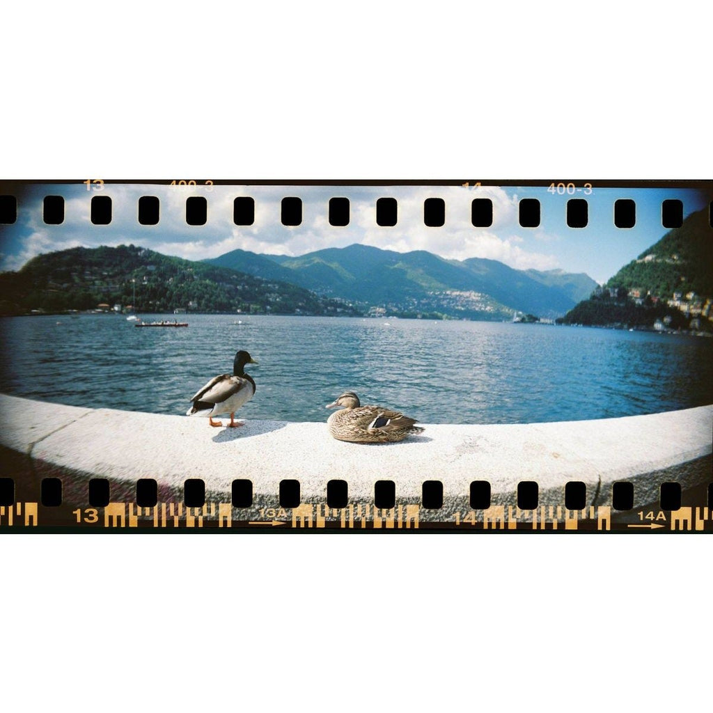 Lomography Sprocket Rocket Camera - Peacock