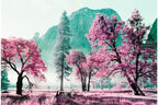 Lomography 35mm ISO 100-400 - LomoChrome Purple
