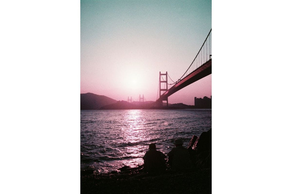 Lomography 35mm ISO 100-400 - LomoChrome Purple