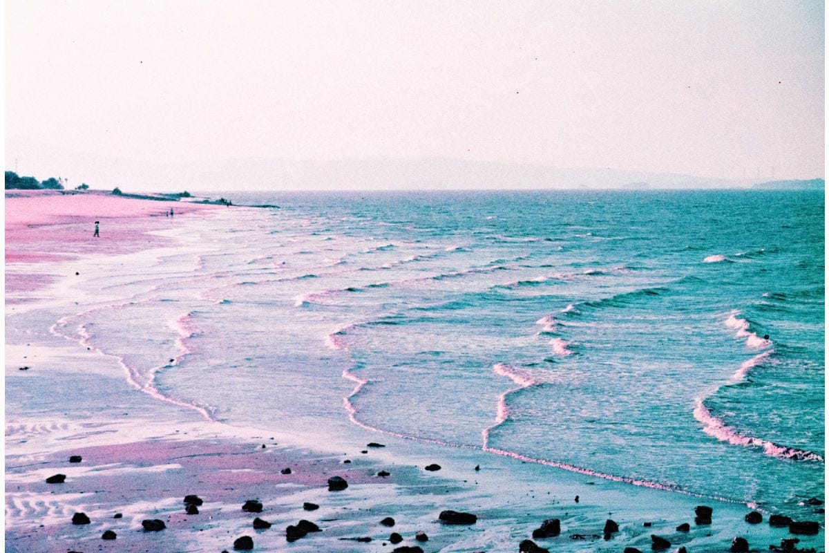 Lomography 35mm ISO 100-400 - LomoChrome Purple