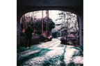 Lomography 120 ISO 100-400 - LomoChrome Purple Petillant