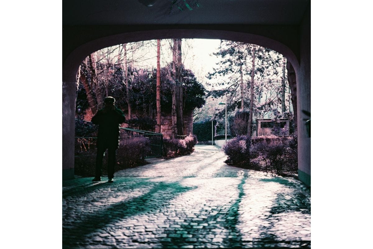 Lomography 120 ISO 100-400 - LomoChrome Purple Petillant
