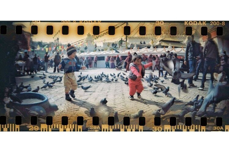 Lomography Sprocket Rocket Camera - Bittersweet
