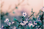 Lomography 35mm ISO 100-400 - LomoChrome Turquoise
