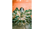 Lomography 35mm ISO 100-400 - LomoChrome Turquoise