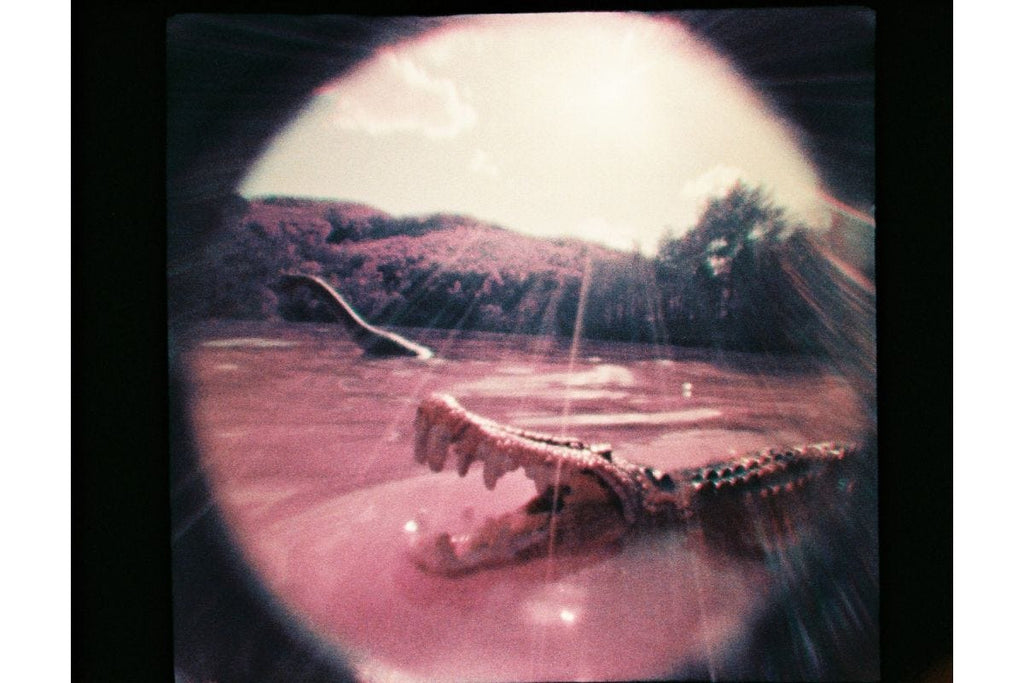 Lomography Fisheye Baby 110 - Gold
