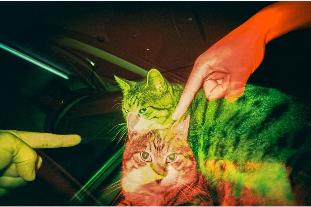 Lomography LomoApparat 21mm Point and Shoot Camera - Fluffy Omelet Edition