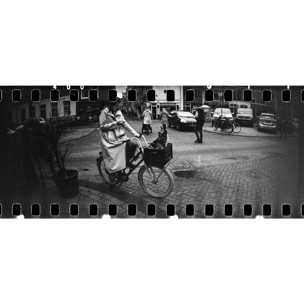 Lomography Sprocket Rocket Camera - Peacock