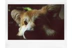 Lomography Lomo Instant Wide Glass - Black