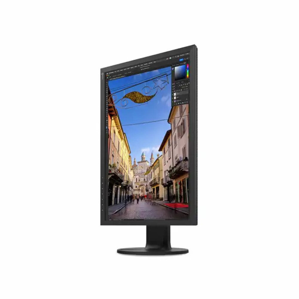 Eizo Coloredge CS2400S 24" LED Monitor 