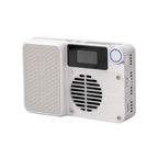 Amaran Ace 25X Bi-Colour LED Light - White 