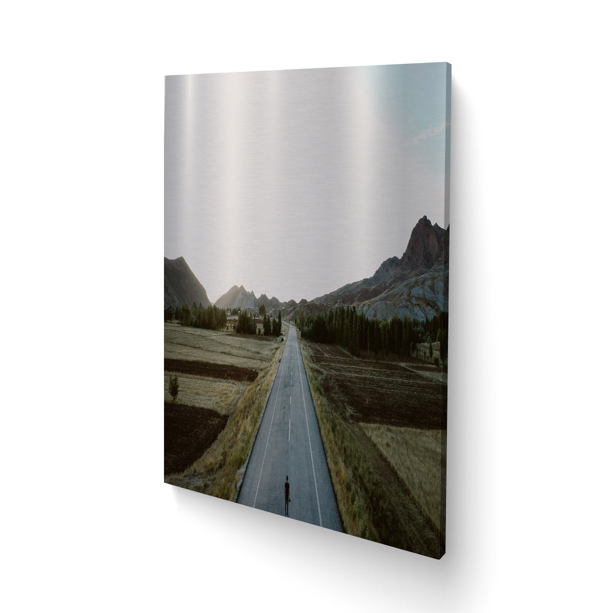 30x40" Portrait Metal Print