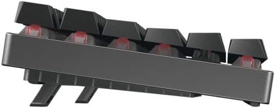 Cherry MX 8.2 TKL Wireless Gaming Keyboard (Black) (MX Red Switch) 