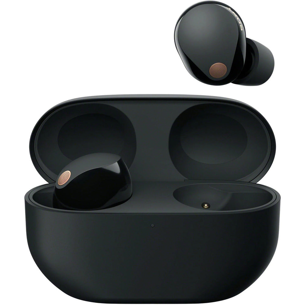 Sony WF-1000XM5 True Wireless Noise Cancelling Earbuds (Black)