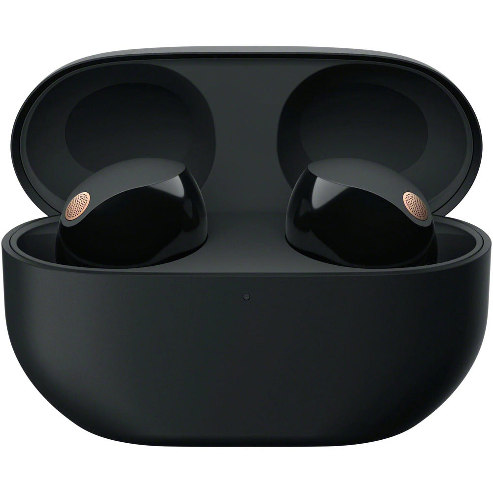 Sony WF-1000XM5 True Wireless Noise Cancelling Earbuds (Black)