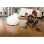 Open Box iFetch Original Auto Ball Launcher for dogs