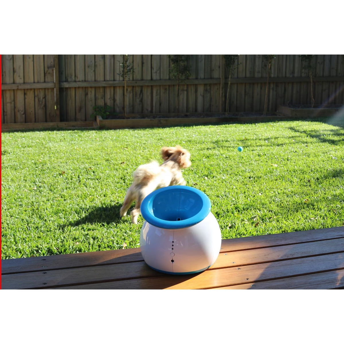 Open Box iFetch Original Auto Ball Launcher for dogs