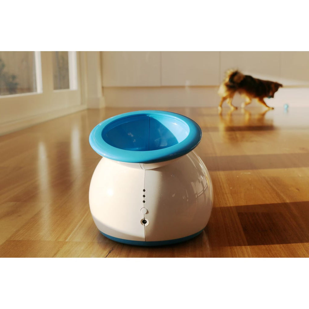 Open Box iFetch Original Auto Ball Launcher for dogs