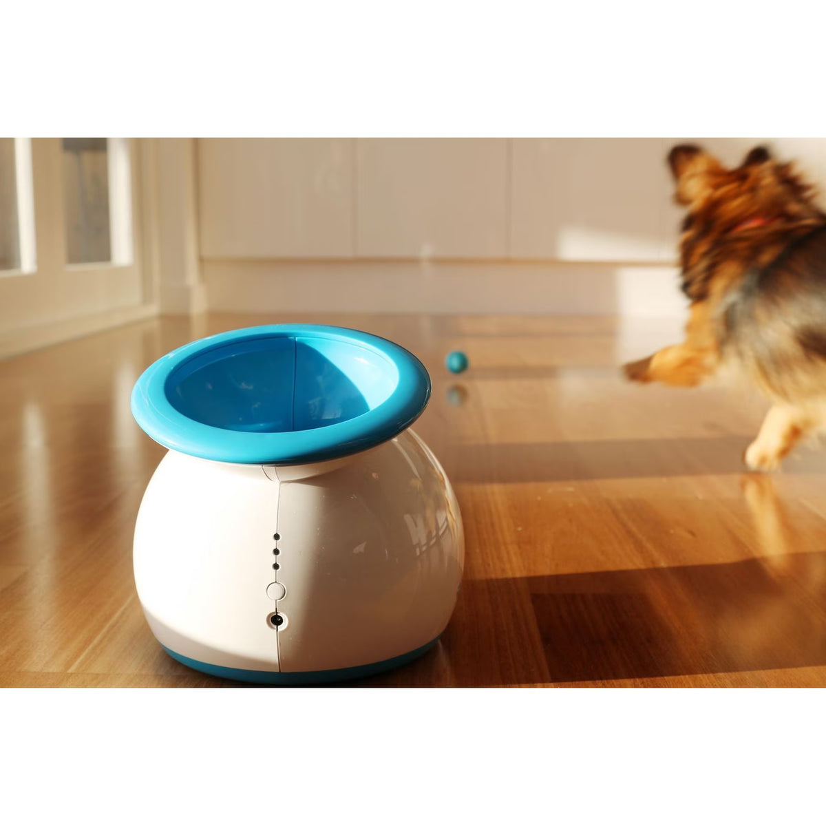 Open Box iFetch Original Auto Ball Launcher for dogs
