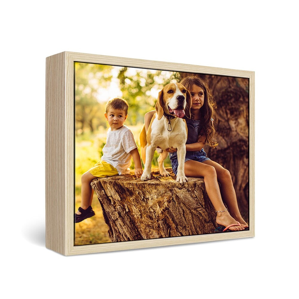 40x60" Framed Canvas Prints  