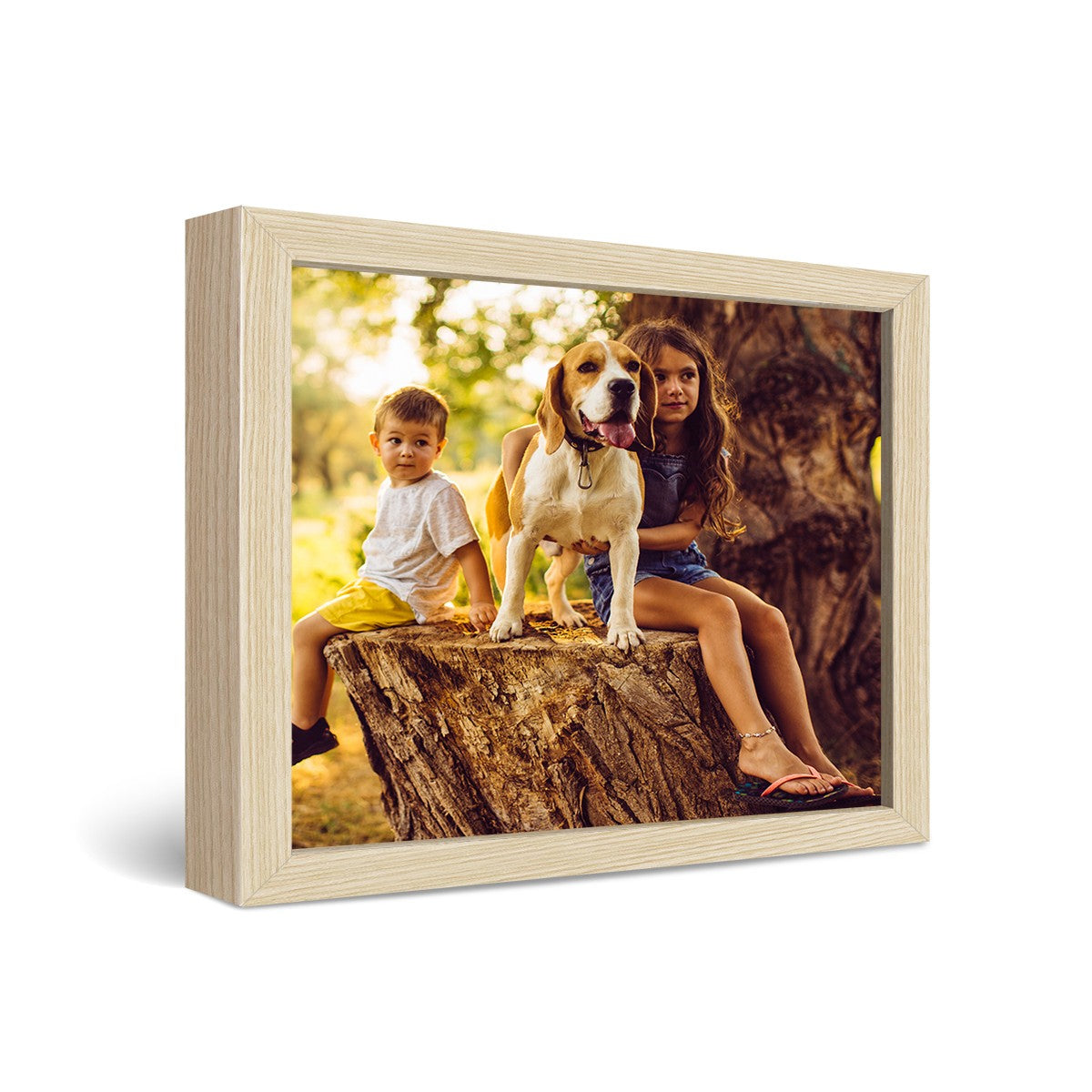 20x30" Framed Metal Prints  