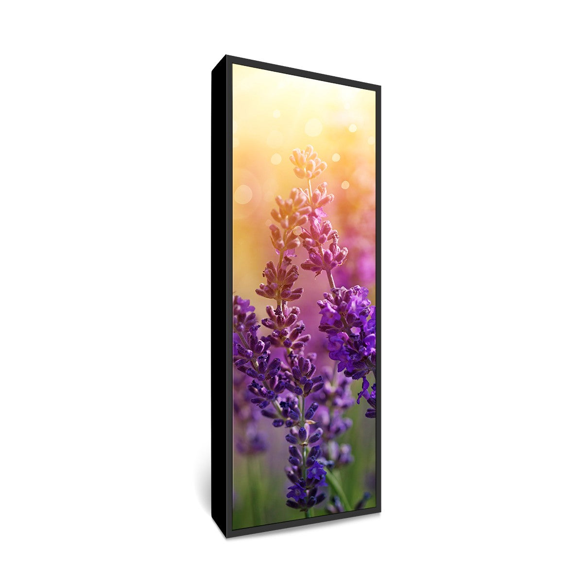 20x60" Framed Canvas Prints  