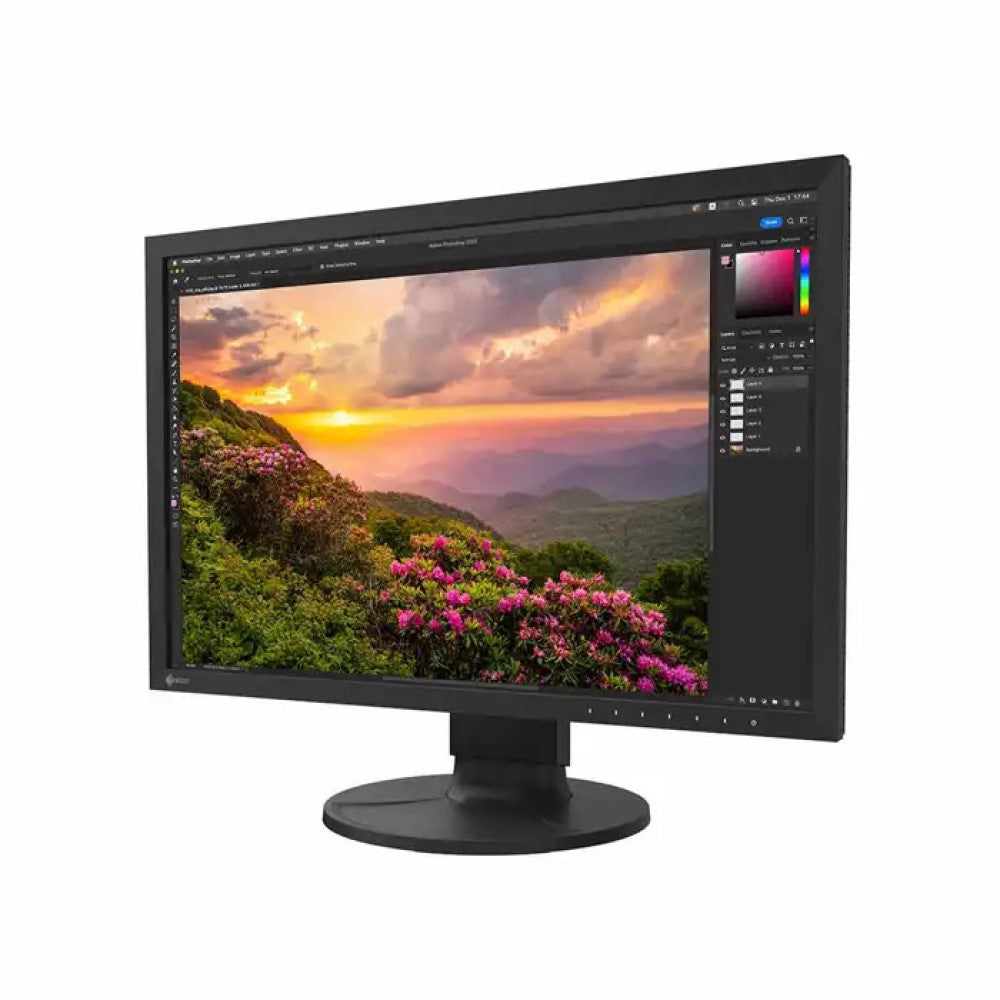 Eizo Coloredge CS2400S 24" LED Monitor 