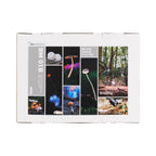 SmallRig RM 01B Macro Photography LED Light Kit (3 pack) 6226