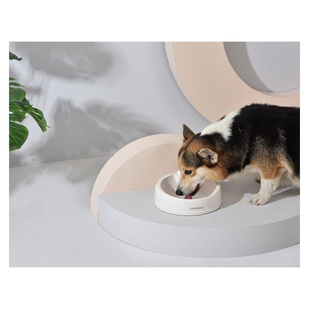 Dogness Travel Bowl Duo