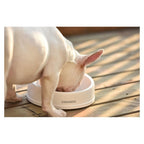 Dogness Travel Bowl Duo