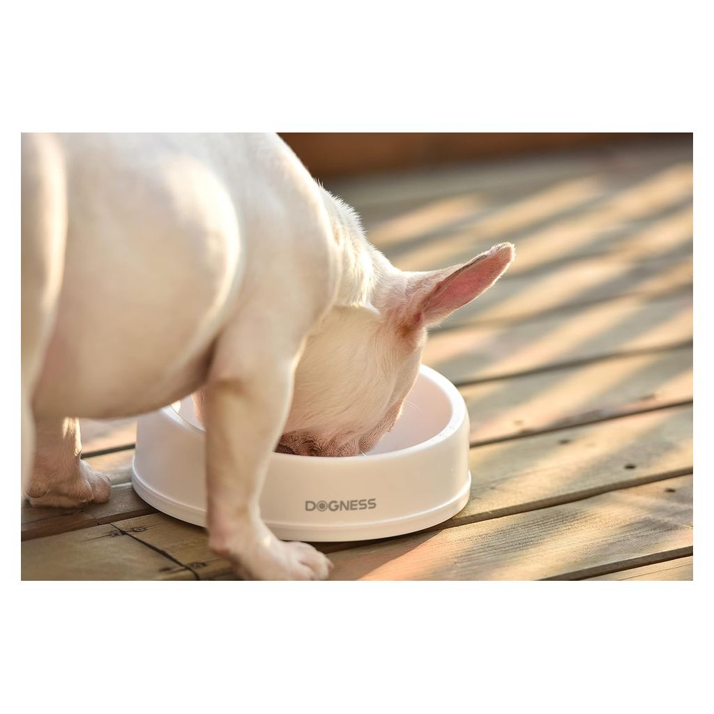 Dogness Travel Bowl Duo