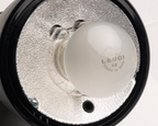 Leuci EL Lamp 196V/100W  