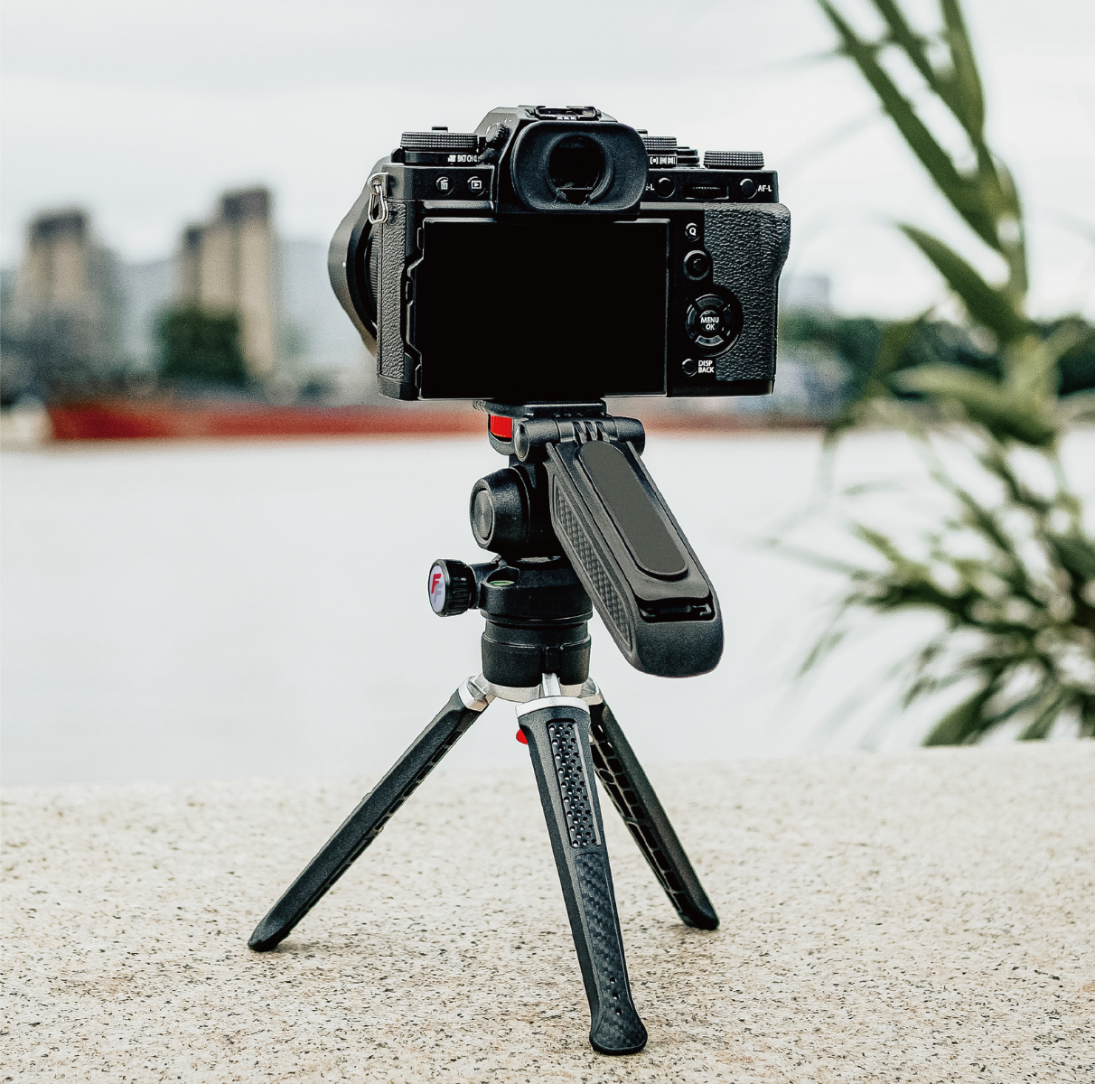 FireFly Video Creator