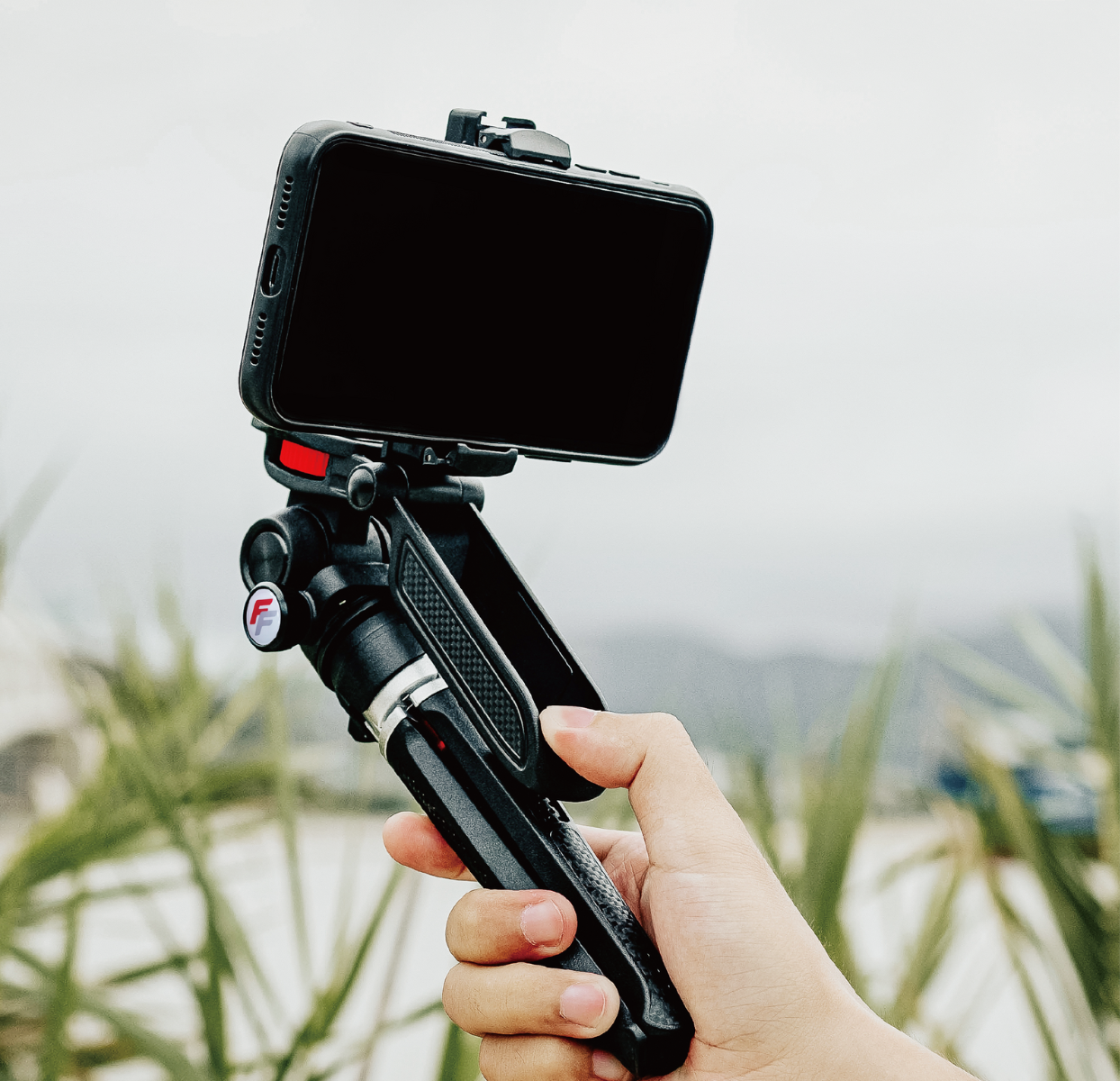 FireFly Video Creator