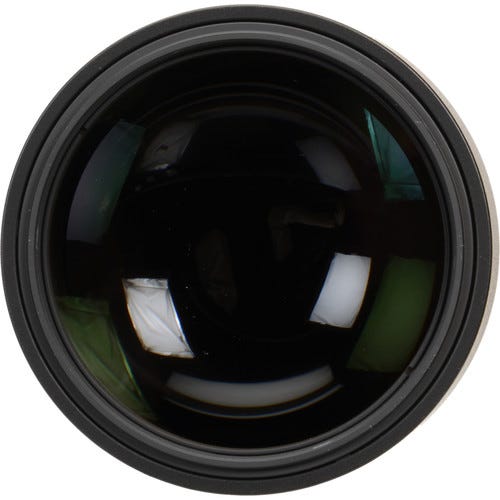 Nikon AF-S 300mm f/4D IF-ED Lens