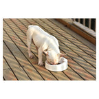Dogness Travel Bowl Duo