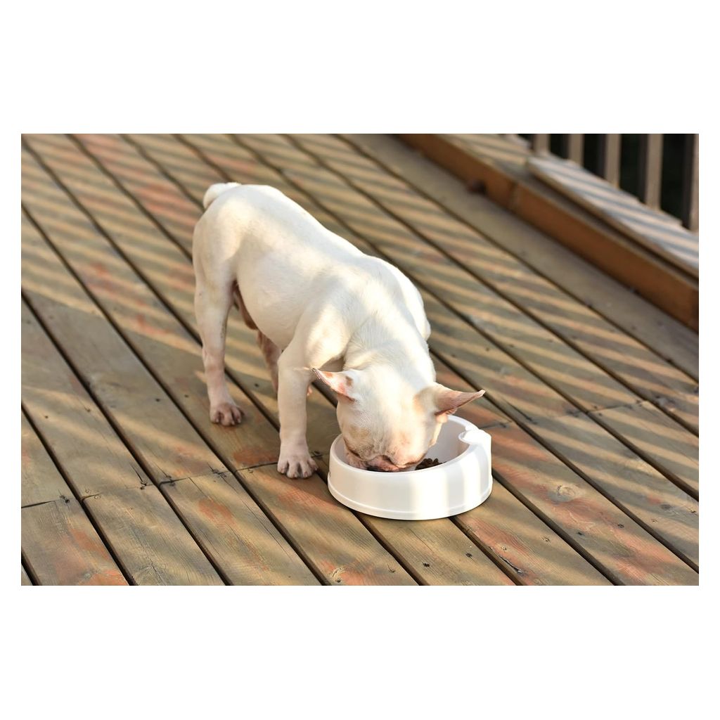 Dogness Travel Bowl Duo