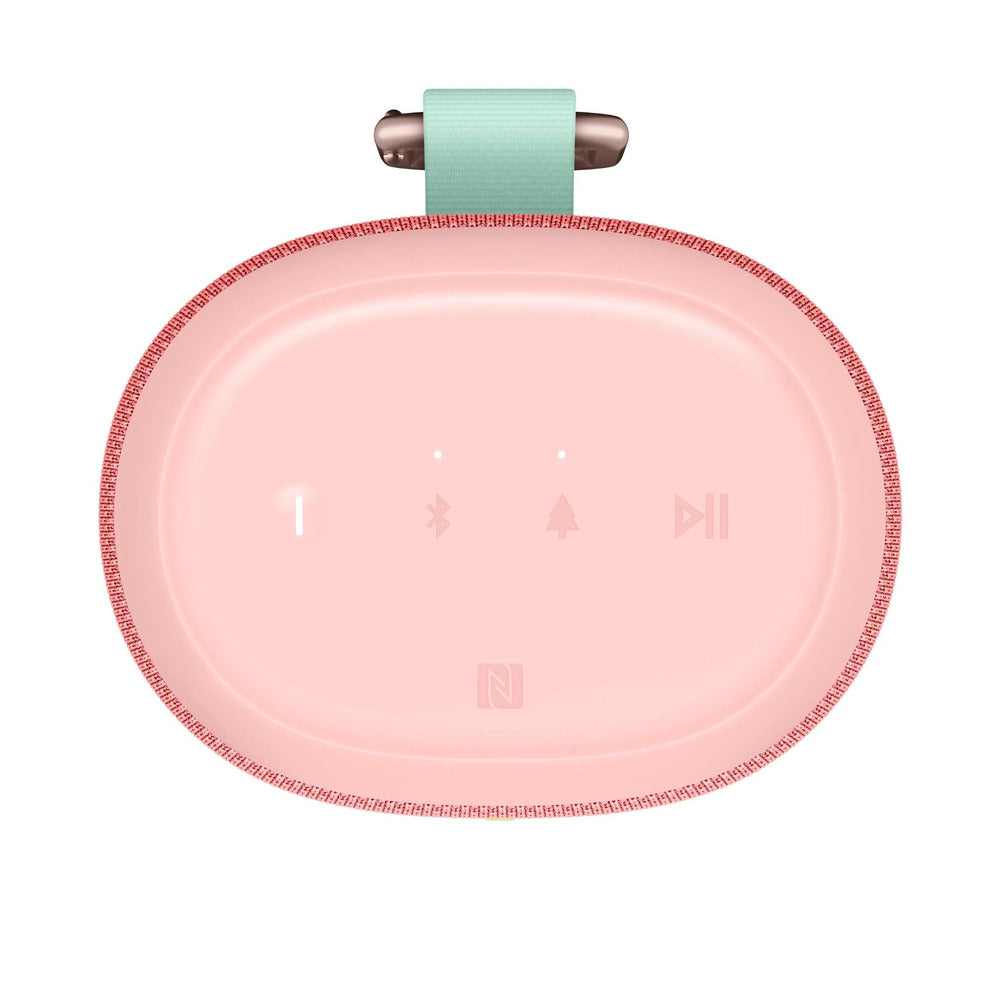 Ultimate Ears EVERBOOM (Raspberry)