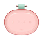 Ultimate Ears EVERBOOM (Raspberry)