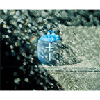 Ultimate Ears WONDERBOOM 4 (Cobalt Blue)