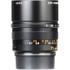 Leica - Summicron-m 75mm f/2 Apo