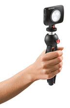 Manfrotto Lumimuse 3 On-Camera LED Light and Accessories  (Black)
