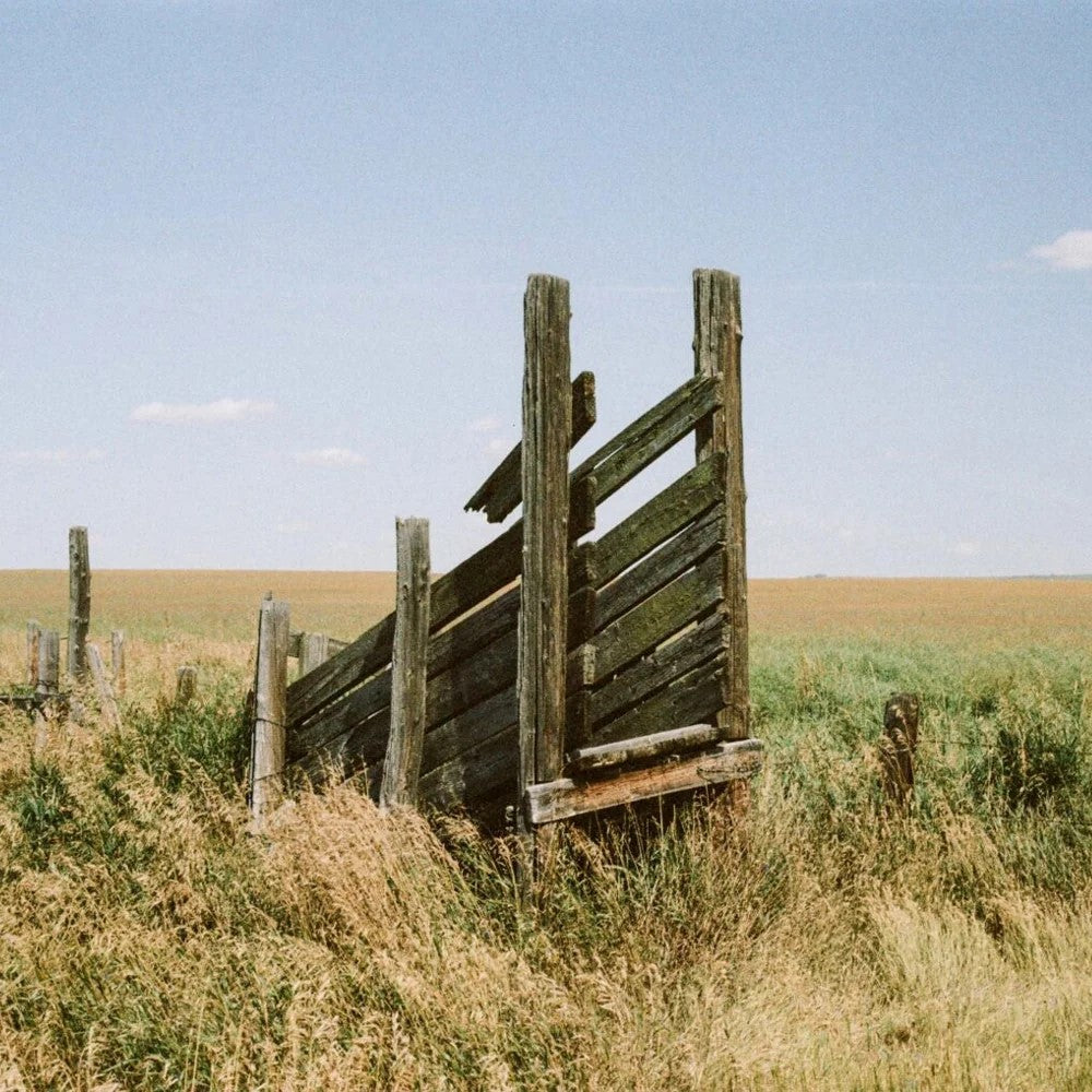 Flic Film Nostalgic Colour 400 (35mm Roll Film, 36 Exposures) C-41