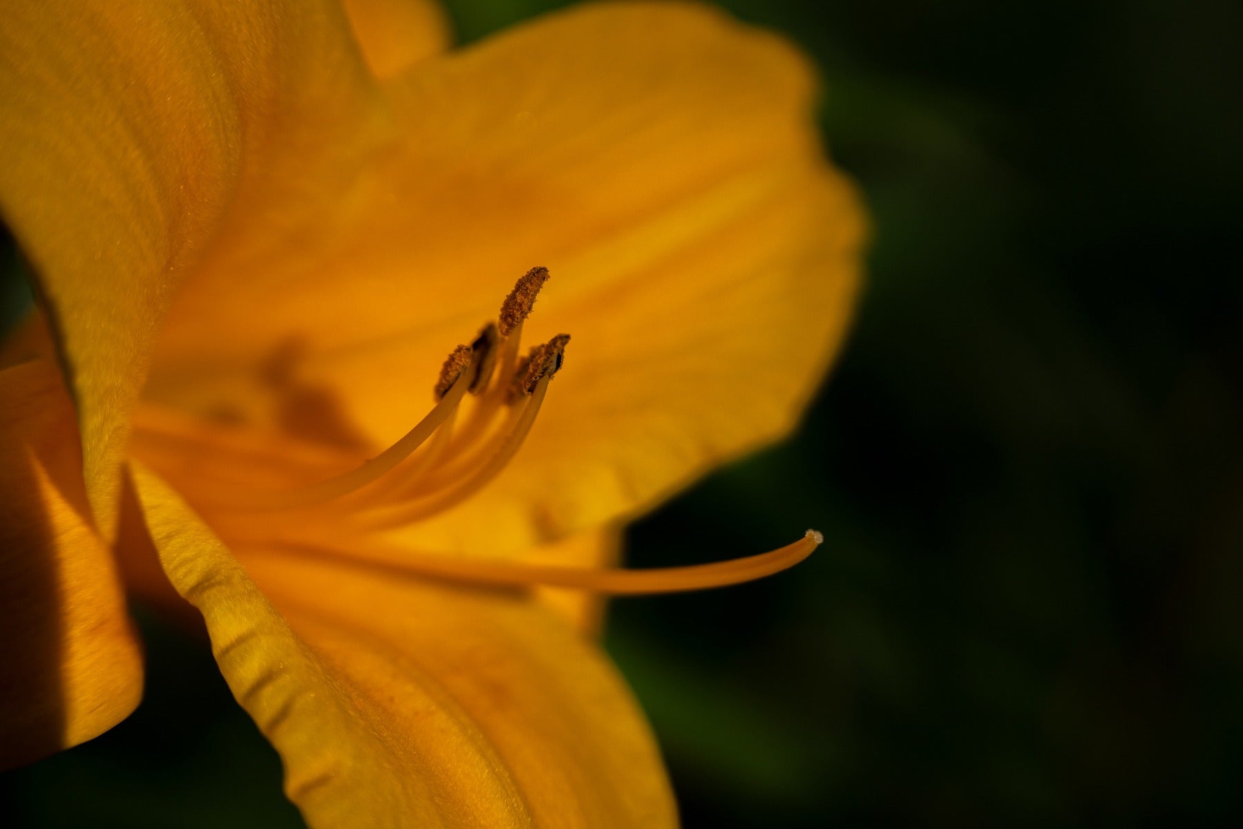 Tamron 70-180mm F/2.8 Di III G2 VXD for Sony FE