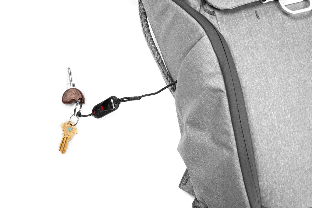 Peak Design Everyday Backpack 20L (v2) - Ash