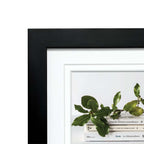 Deluxe Gallery Photo Wall Frame Set B - 6 Frames - Stone Ash